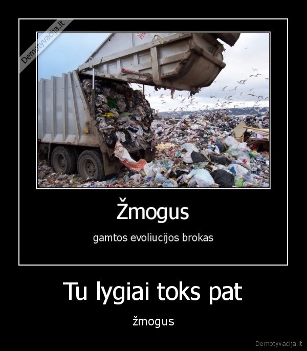 apsiverkit