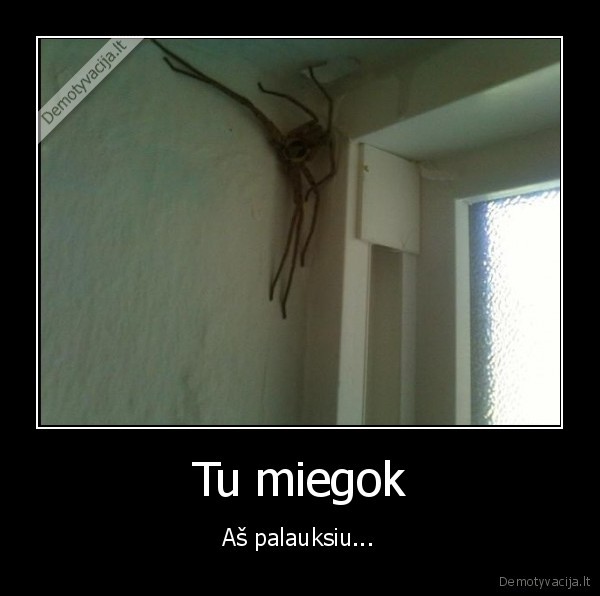 Tu miegok