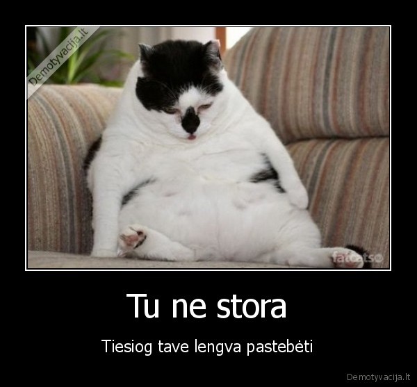 mano, didele, stora, kate