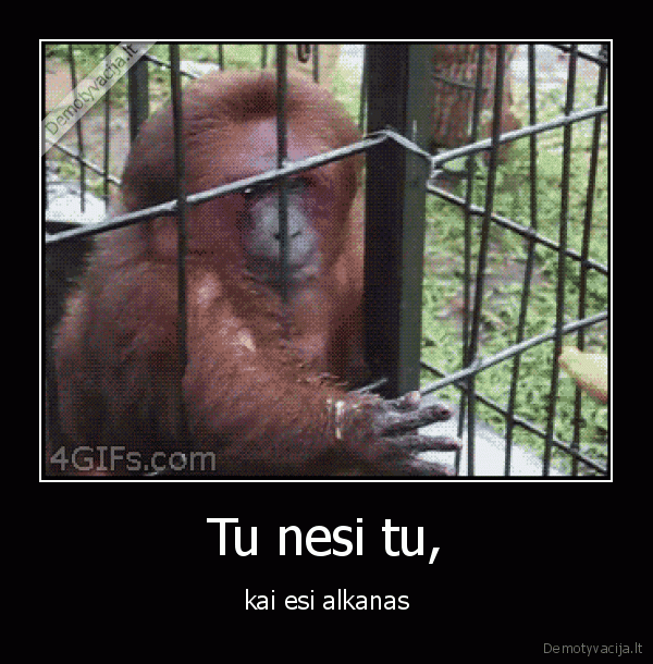 Tu nesi tu,