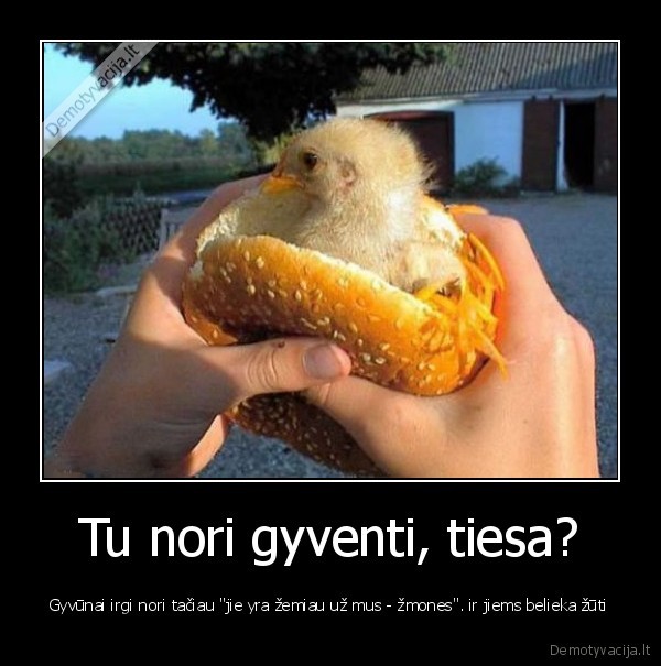 Tu nori gyventi, tiesa?
