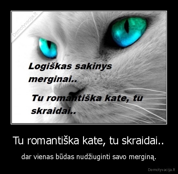 Tu romantiška kate, tu skraidai..