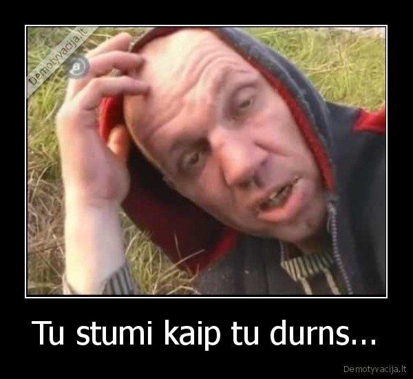 tu,stumi,kaip,tu,durns