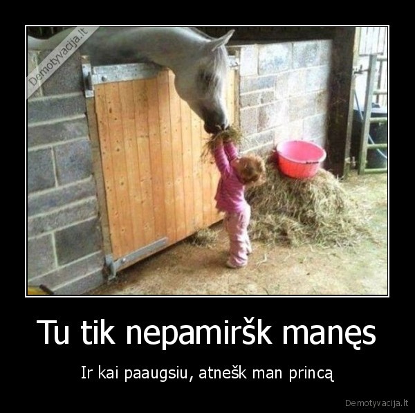 princas, ant, balto, zirgo,maza, mergaite