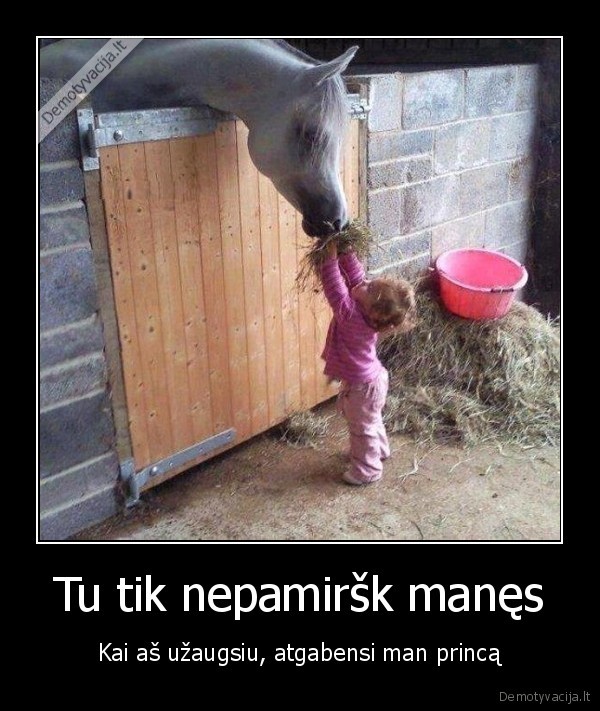maza, mergaite,princas, ant, balto, zirgo,baltas, zirgas