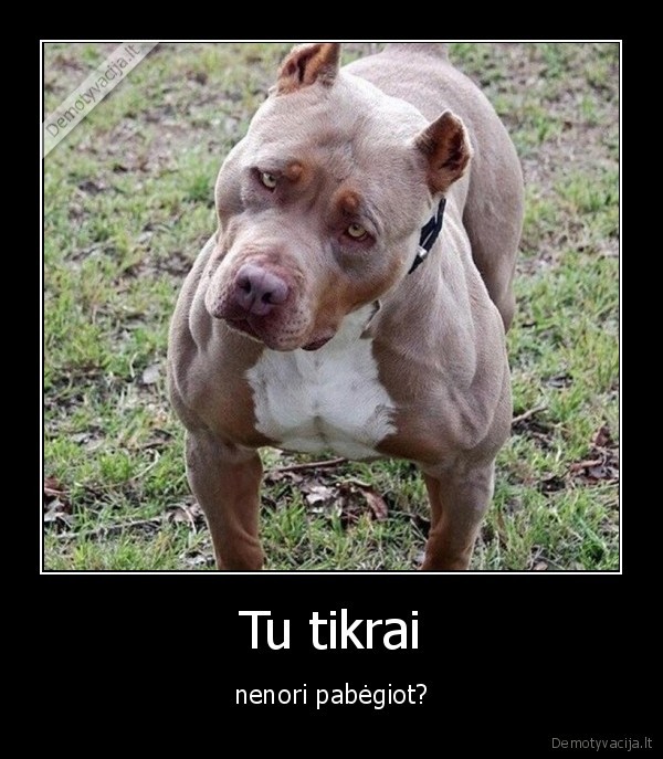 begioti,suo