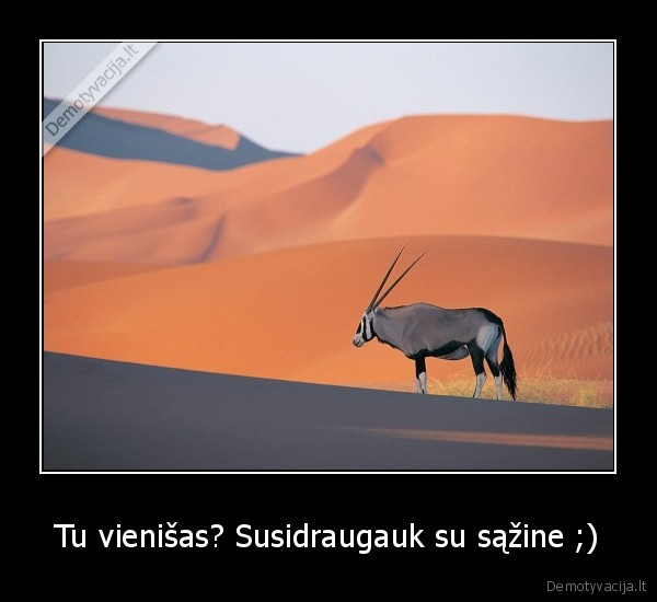 vienisas,sazine