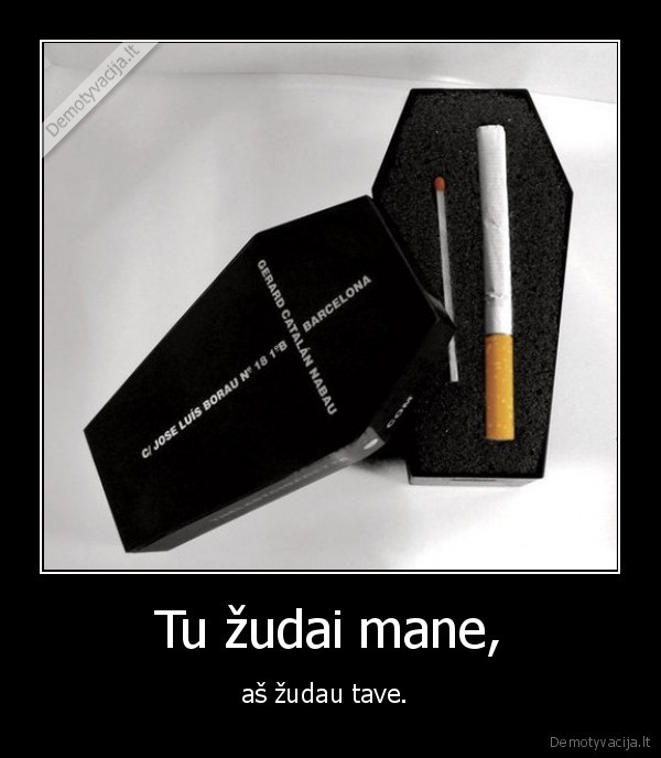 rukymas, zudo