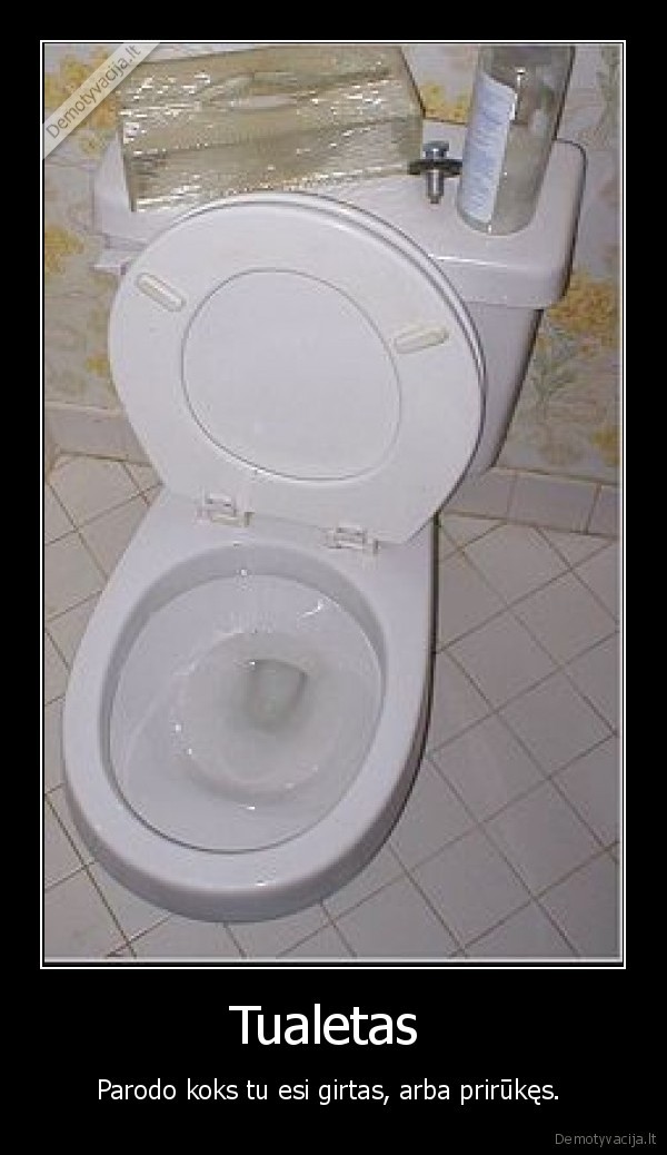 le, toilette