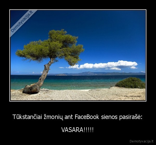 Tūkstančiai žmonių ant FaceBook sienos pasirašė: