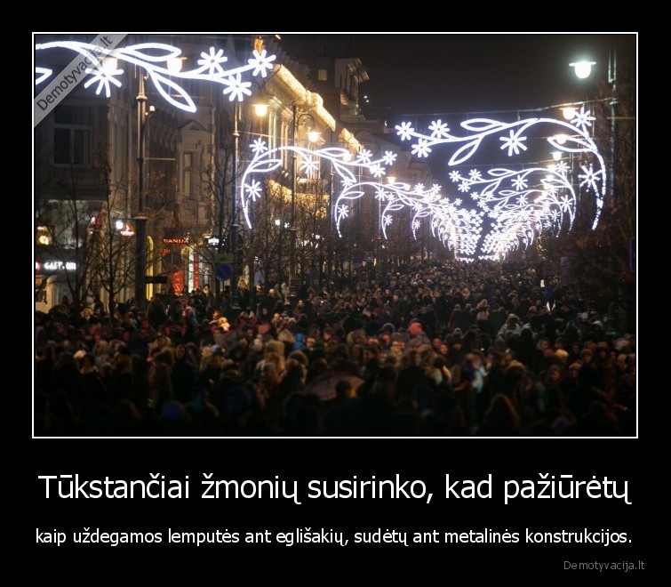 egle,iziebimas,vilnius,lemputes,eglute