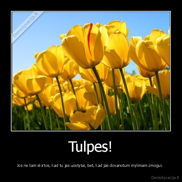 geles