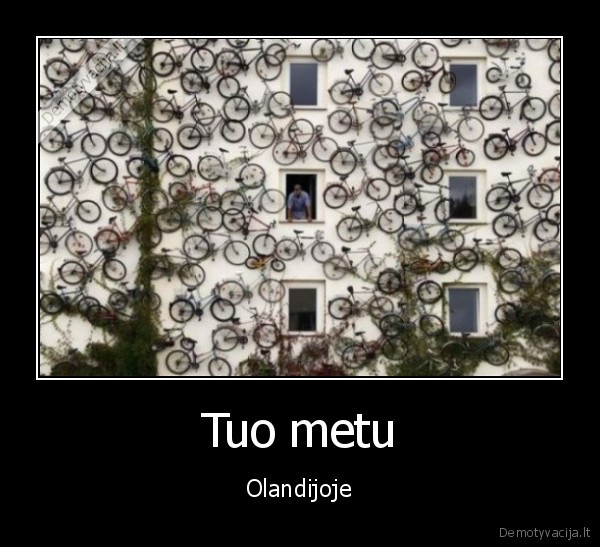 olandija, dviraciai