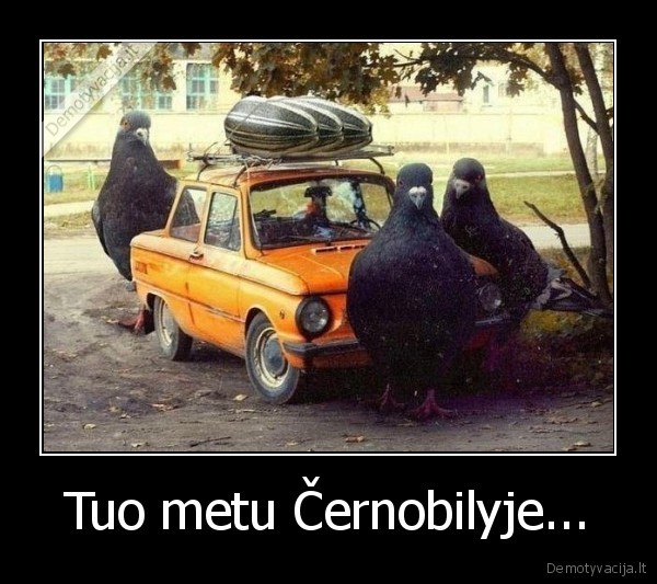 Tuo metu Černobilyje...
