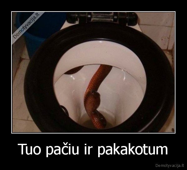 Tuo pačiu ir pakakotum