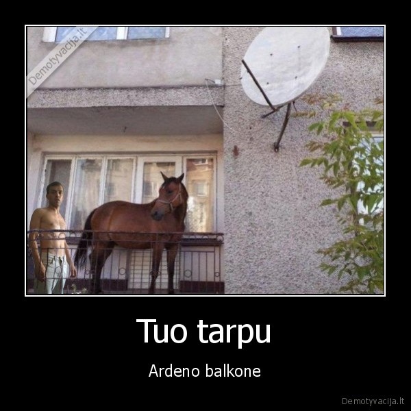 Tuo tarpu