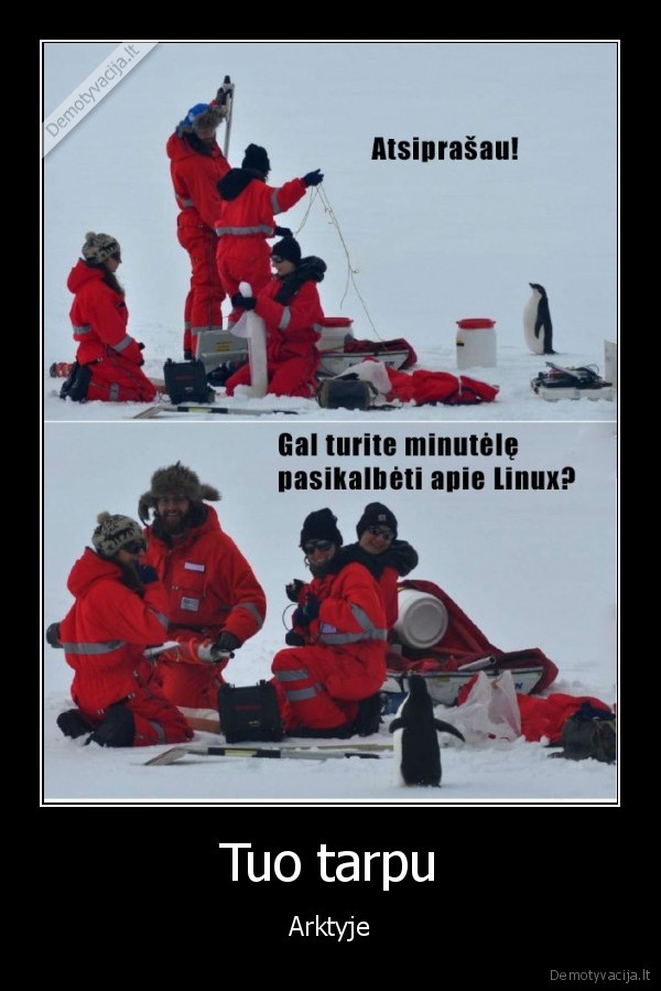 arktis,linux