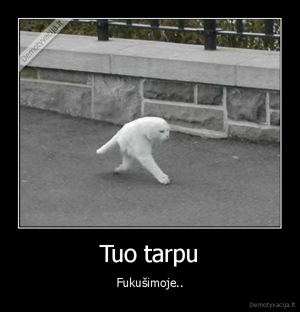 Tuo tarpu