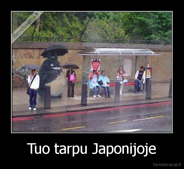meanwhile,in,japan