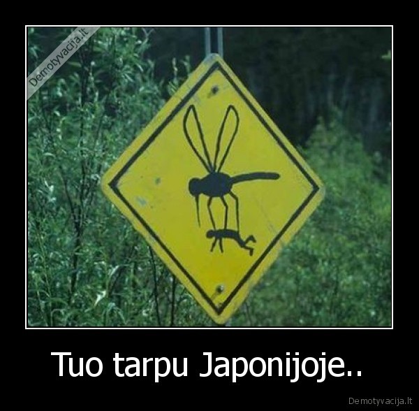 japonija,uodai,nx,gelia,negyvai