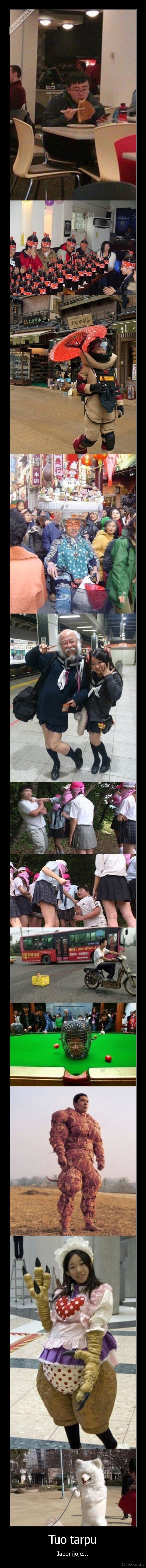 japonija,keista