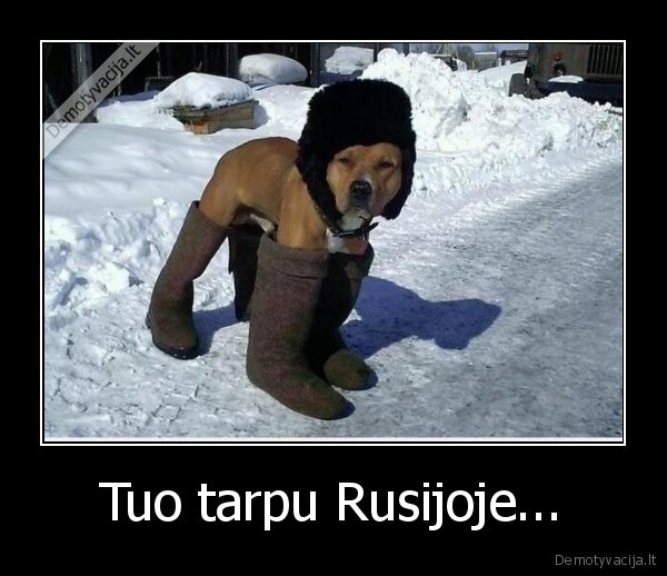 Tuo tarpu Rusijoje...
