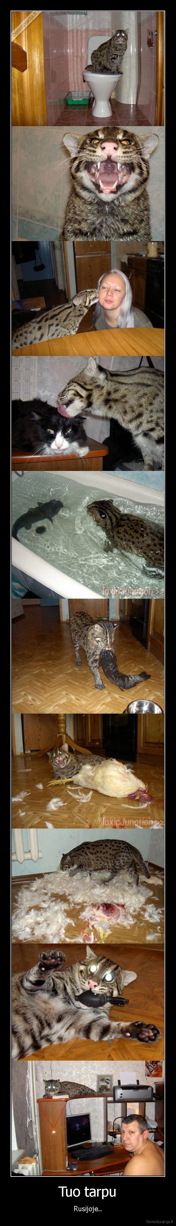 Tuo tarpu