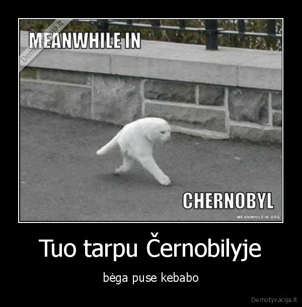 Tuo tarpu Černobilyje
