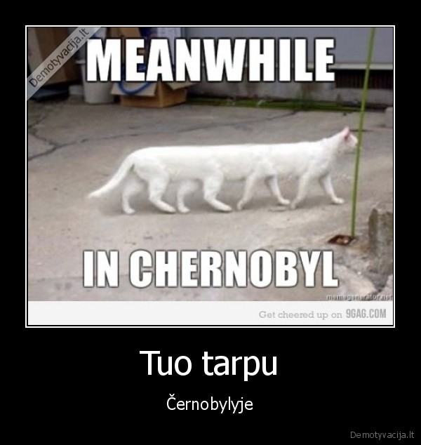 cernobylis