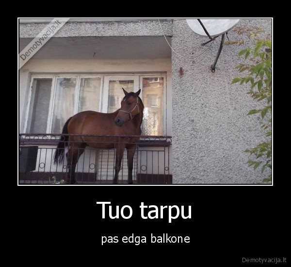 Tuo tarpu