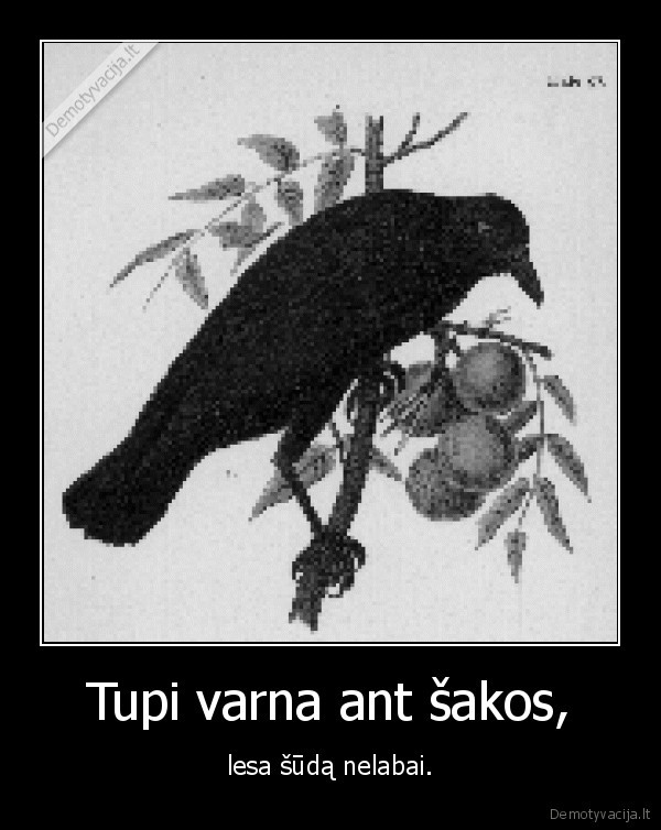 varna,lesa,suda,miske