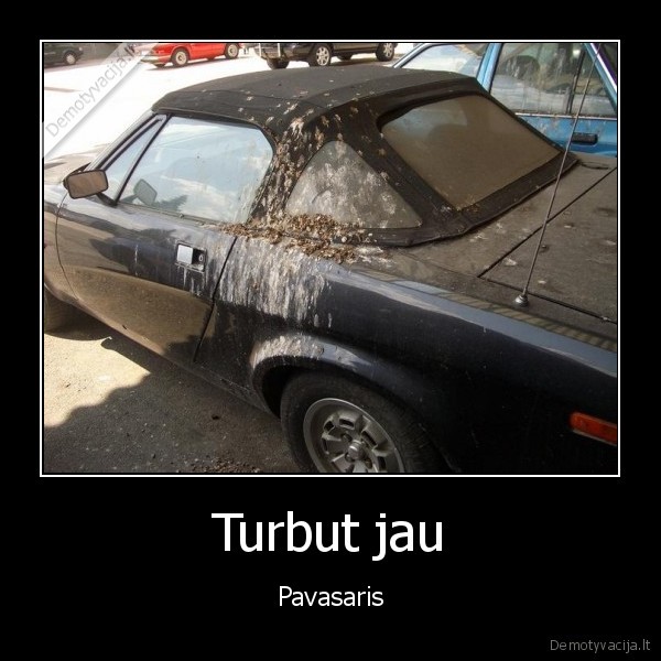 Turbut jau