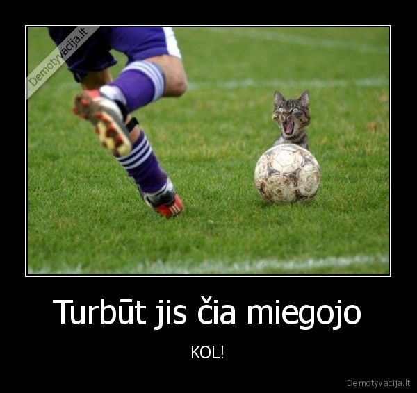 Turbūt jis čia miegojo