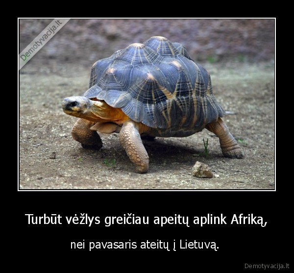 pavasaris,ziema,lietuva,saltis,sniegas