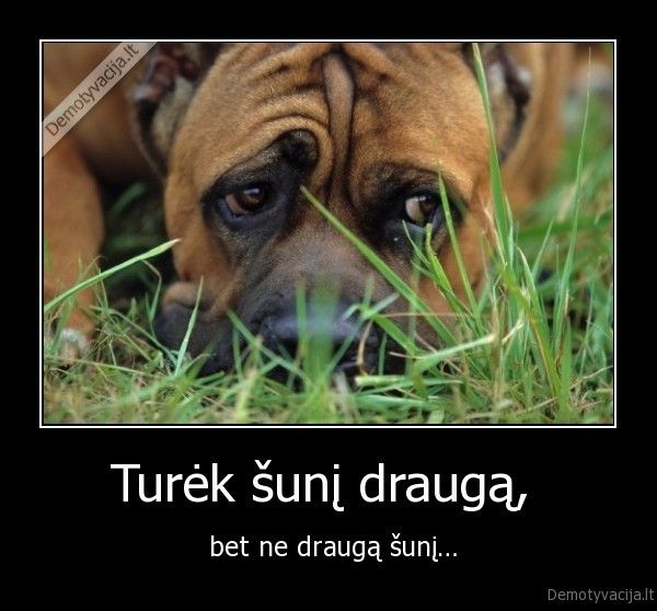 Turėk šunį draugą, 
