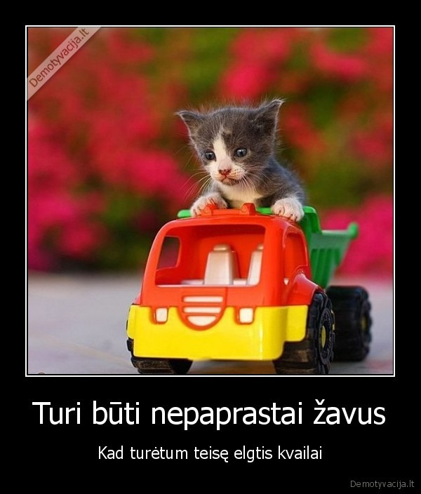 Turi būti nepaprastai žavus
