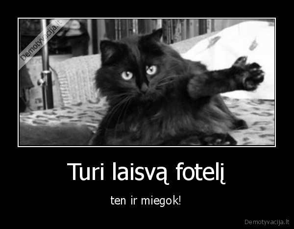 Turi laisvą fotelį