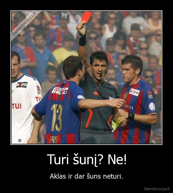 Turi šunį? Ne!