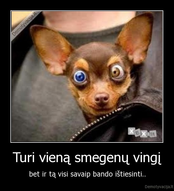 Turi vieną smegenų vingį