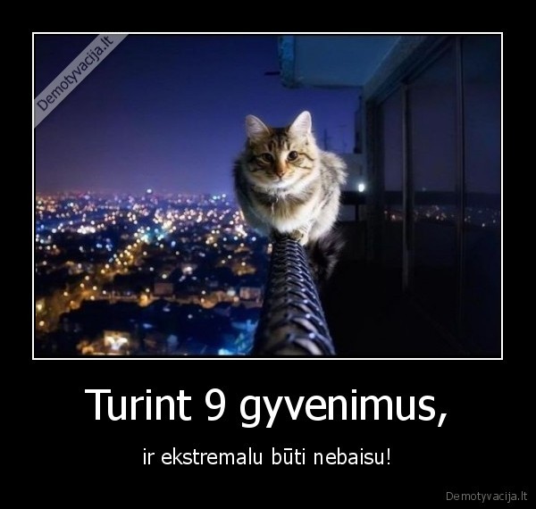 Turint 9 gyvenimus,