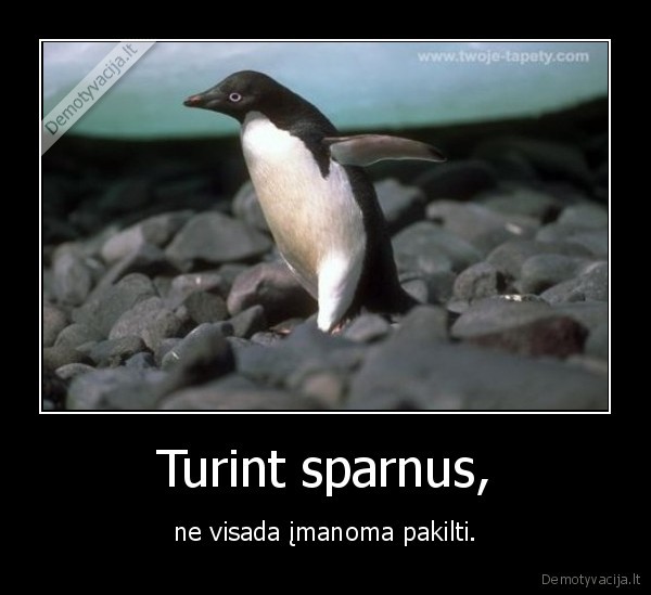 Turint sparnus,