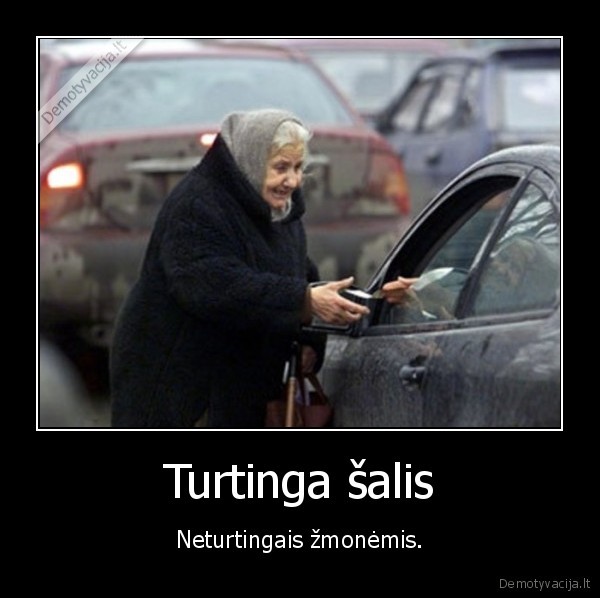 turtai,salis,alga