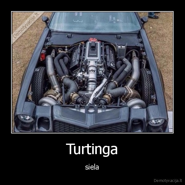 siela,turtinga