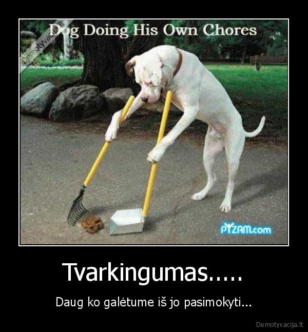 Tvarkingumas.....