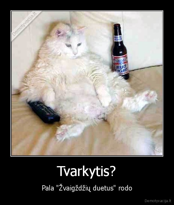 Tvarkytis?