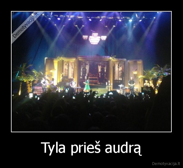 Tyla prieš audrą