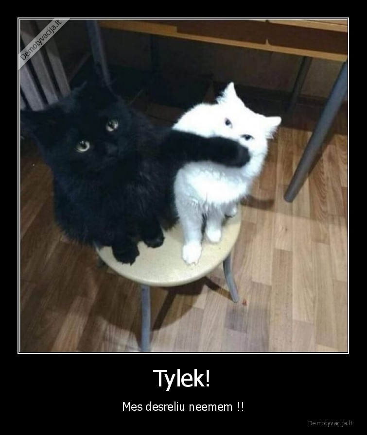 Tylek!
