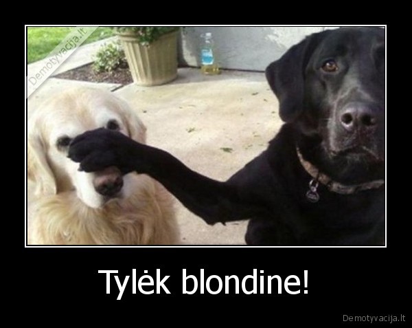Tylėk blondine!