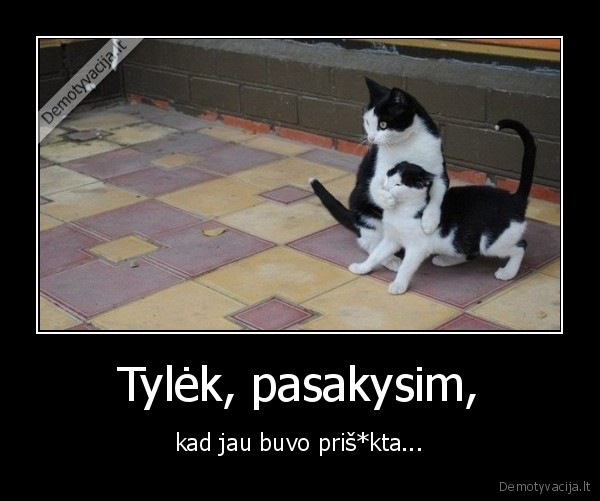 Tylėk, pasakysim,