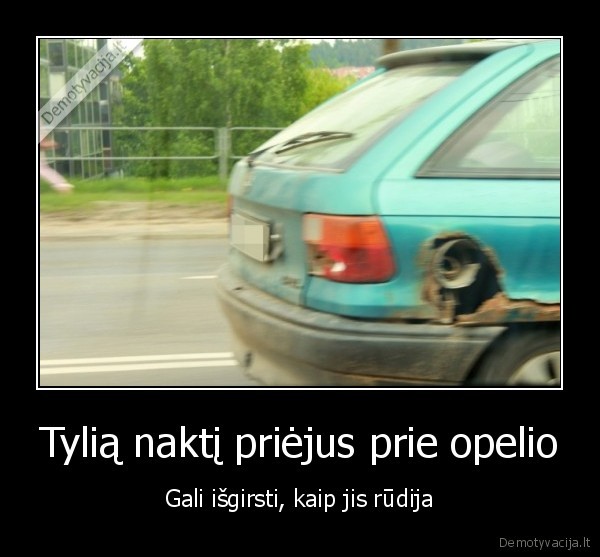 Tylią naktį priėjus prie opelio